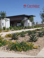 Caretaker Landscape & Tree Management